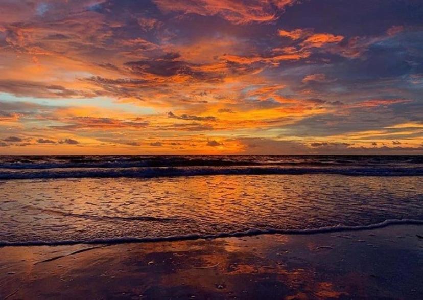 Private Room In A 2 Bedroom 1 Bathroom Shared With Host, On The Beach, Surrounded By Resorts, Only 2 People Max St. Pete Beach Exteriör bild